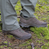Туристические низкие ботинки HAIX Black Eagle Nature GTX Low